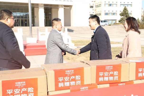 平安产险内蒙古分公司向呼和浩特市回民区政府捐赠10万元防疫物资