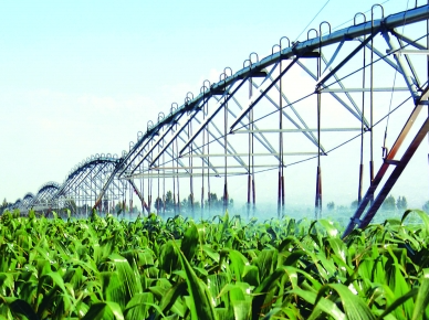 明年起呼和浩特市设施农业将逐年扩大规模