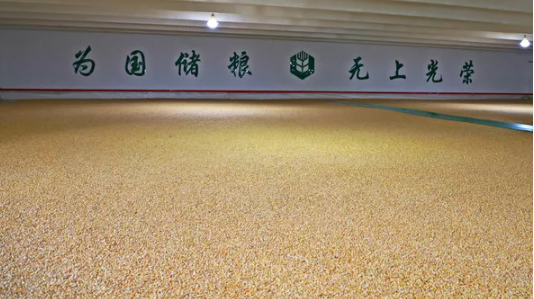 关于“保障国家粮食安全，推进粮食事业高质量发展”的专访