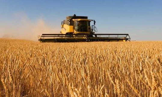 内蒙古粮食产量“十八连丰”：768亿斤！全国第六！