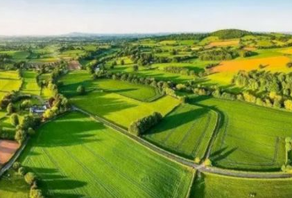 内蒙古多举措助推绿色特色优势产业高质量发展