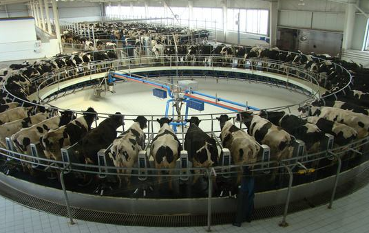 呼和浩特：力争2025年奶类产量达320万吨