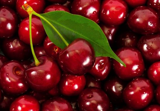 呼和浩特严查进口水果 保障群众“果篮子”安全