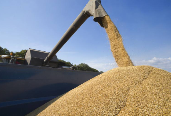 内蒙古加大粮食市场化收购监管力度