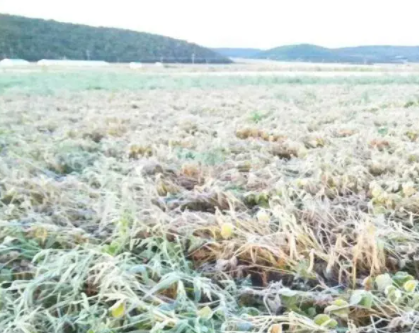 2022年春季内蒙古气温较常年偏高