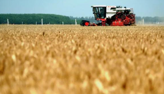 呼和浩特市下达农业生产补贴资金10.16亿元