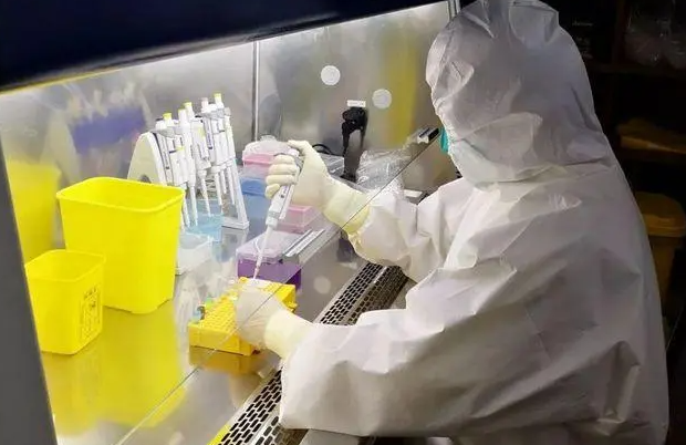 呼和浩特新冠病毒核酸检测再降价：单检28元/人次