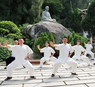 太极拳5项标准获得投票通过