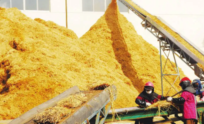 内蒙古：“畜牧王国”变身“粮仓”“奶罐”“肉库”