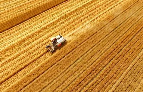 11.4681亿元！中央财政种粮农民补贴资金来了