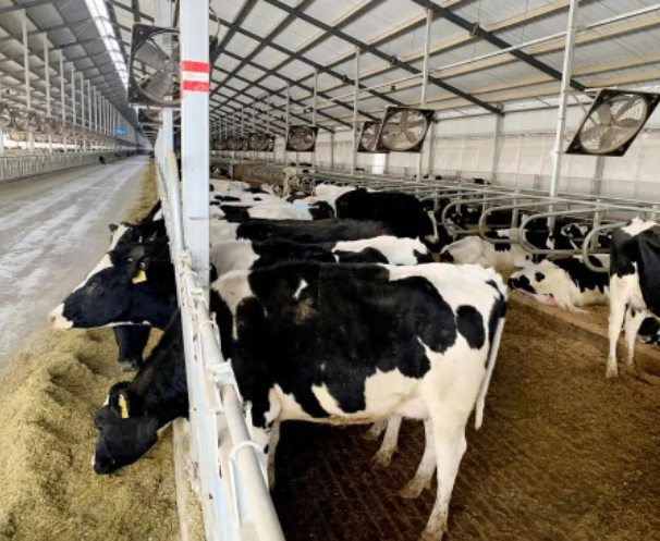 内蒙古下拨3.48亿元补贴资金推动奶业振兴