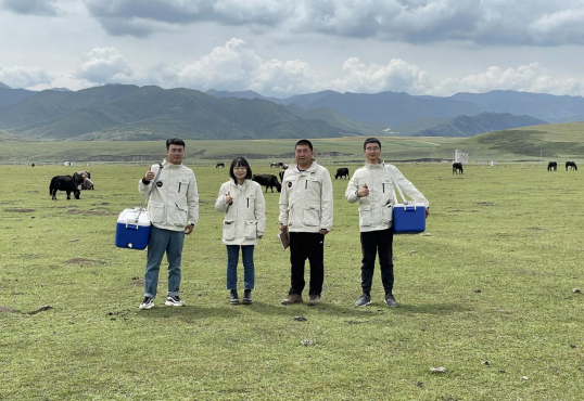 乳酸菌--从基础研究到产业的技术突破  ---记内蒙古农业大学乳品生物技术与工程重点实验室从