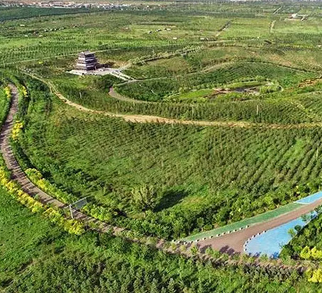 呼和浩特市域南部138平方公里生态屏障基本形成