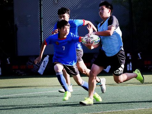 体教融合，成效几何？