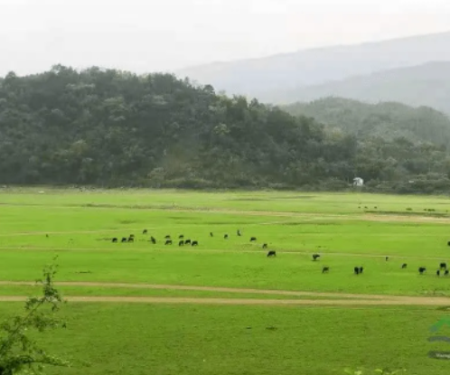 内蒙古“真金白银”支持绿色制造业发展