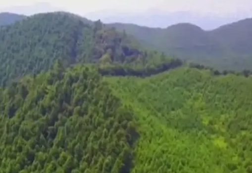 内蒙古首单林业碳汇预期收益权质押贷款成功签约