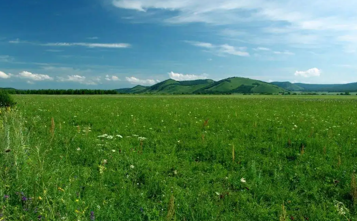 内蒙古走出一条草原生态保护修复新路子