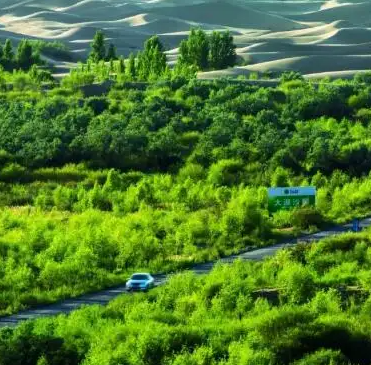 鄂尔多斯：绿色转型“跑步前进”