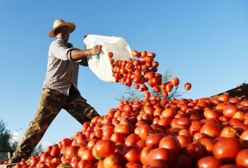 内蒙古农产品远销90多个国家和地区