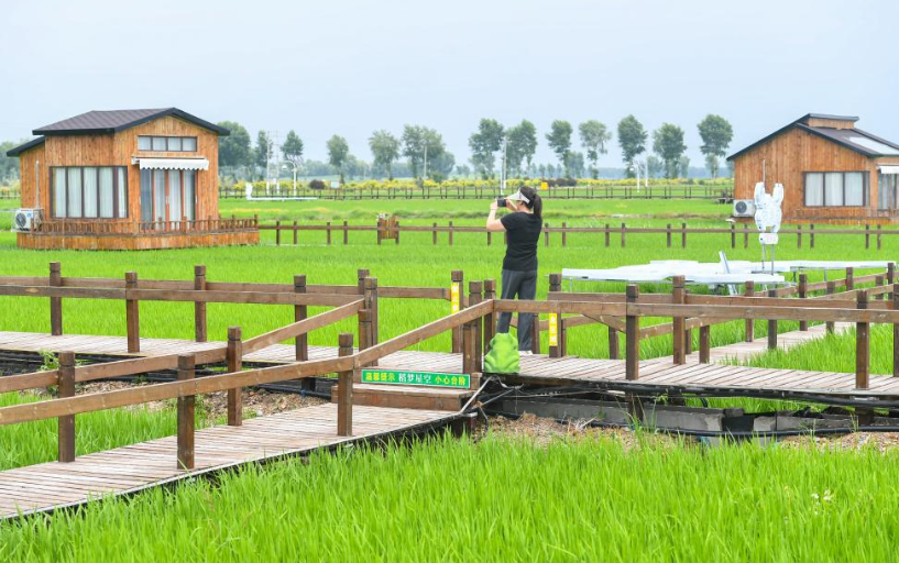 新指导意见促进乡村民宿高质量发展