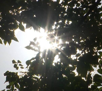 最高33.8℃！呼和浩特今年7月有21天气温超过30℃