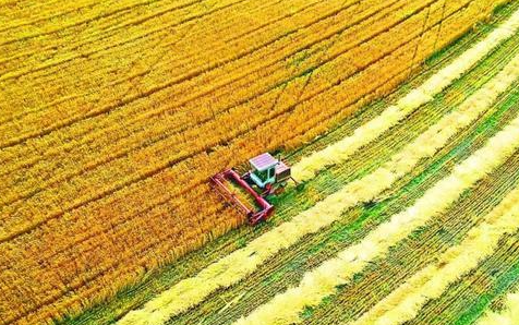 全年粮食夺取丰收有支撑