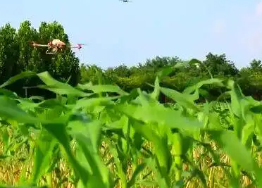 农业农村部部署抗旱减灾措施 加强蔬菜稳产保供