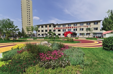 回民区：“口袋公园”让居民转角遇见美