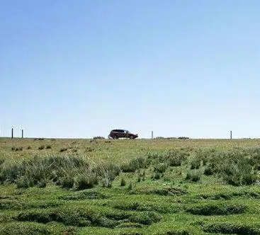 内蒙古两处草原入选首批国家级“红色草原”