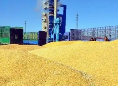 8月份内蒙古粮食价格延续上涨走势