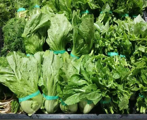 内蒙古蔬菜平均零售价环比下降