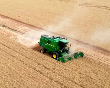 藏粮于地 高标准农田夯实粮食安全根基
