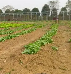 内蒙古公布首批大中小学劳动教育实践基地