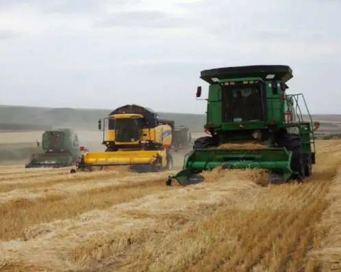 呼和浩特市粮食产量首次突破180万吨大关