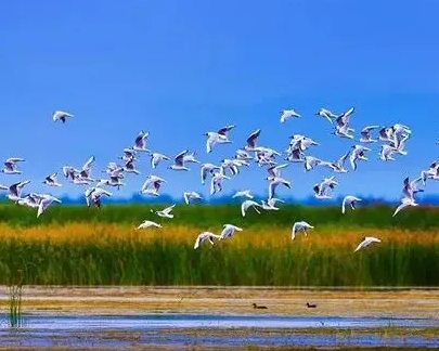 2023的内蒙古，会是什么样子？