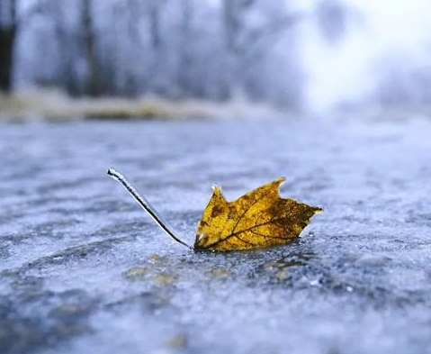 预计2月全国主要有3次冷空气过程