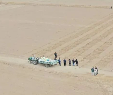 杭锦后旗和磴口县32万亩小麦开播