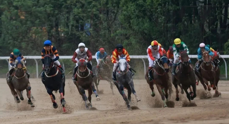 重磅！1000万奖金，呼和浩特5月全国速度赛马常规赛——赛事计划公布