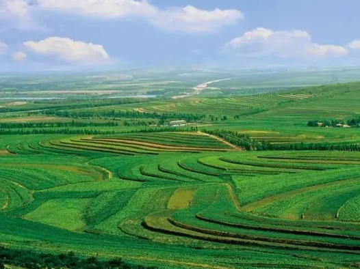 兴安盟：为绿色充“植” 让绿色升“值”