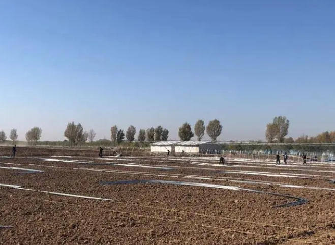 上下游合作 点对点保供 内蒙古自治区供销合作社按下春耕备耕“保障键”