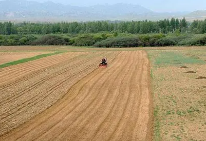 内蒙古天气晴好降水偏多适宜春播
