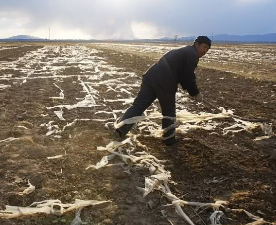 十条措施为耕地减“负” 地膜不再变“地魔”