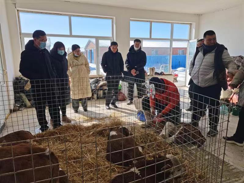 工商银行内蒙古分行全力支持春耕备耕  金融“活水”助力乡村振兴