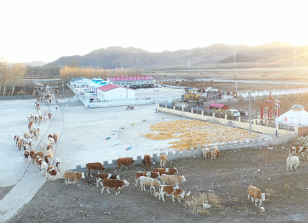 4.8亿元资金保障内蒙古农牧区供水安全