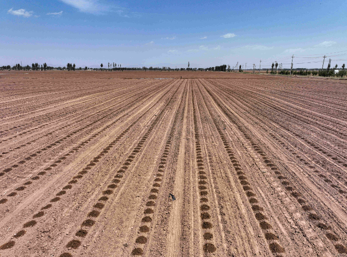 中央财政下达内蒙古耕地地力保护补贴59.78亿元