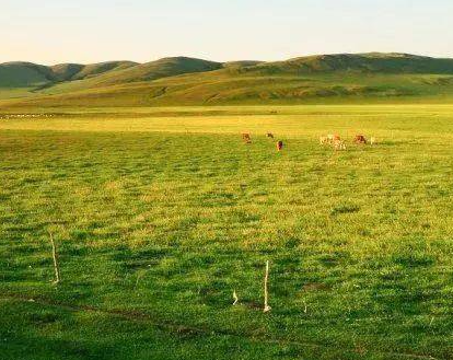 中央财政连续8年下达内蒙古草原生态保护补奖资金