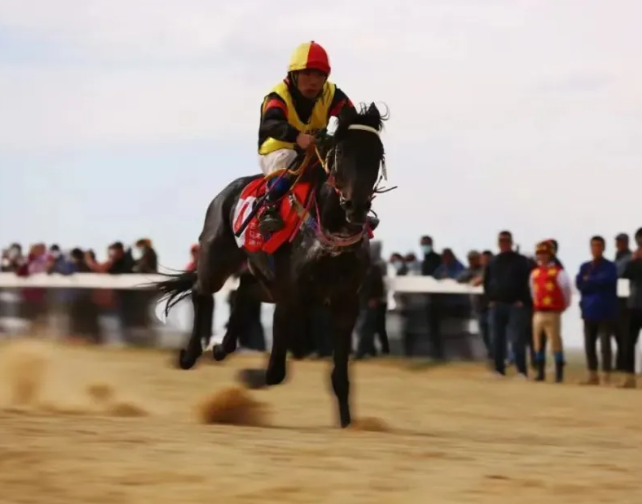 8个主题文化和旅游活动火热登场 “相约草原 遇见那达慕”系列活动即将开启