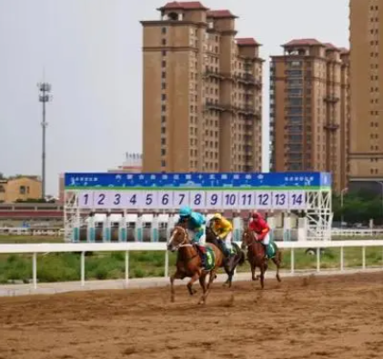 十五运各项工作顺利进行 即将开启精彩赛事