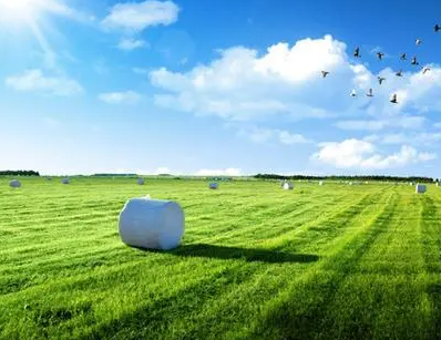 内蒙古设施农牧业专题推进现场会召开