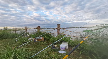 内蒙古及东北三省红旗杯沙南水库钓鱼大赛即将开赛